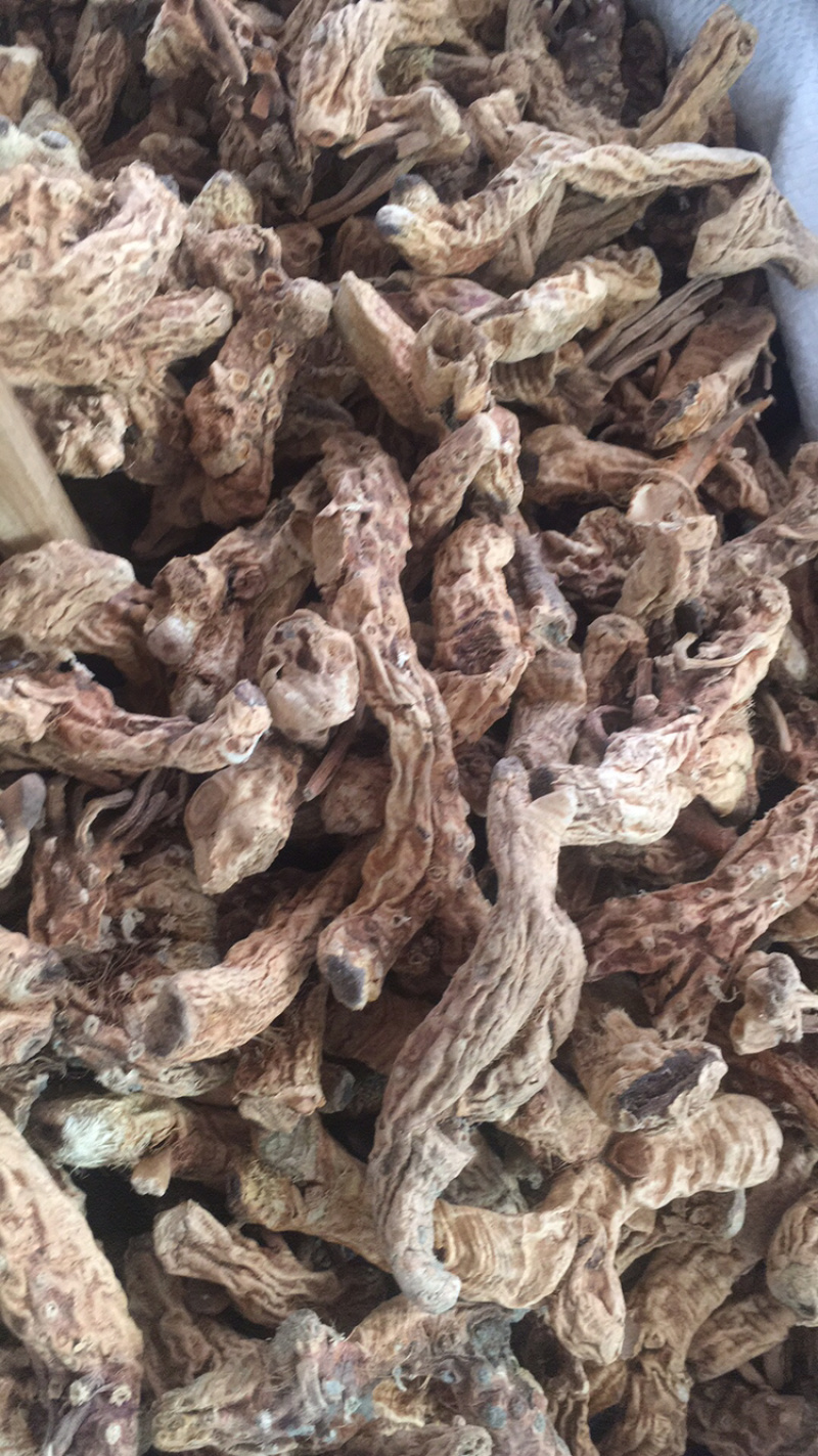 知母