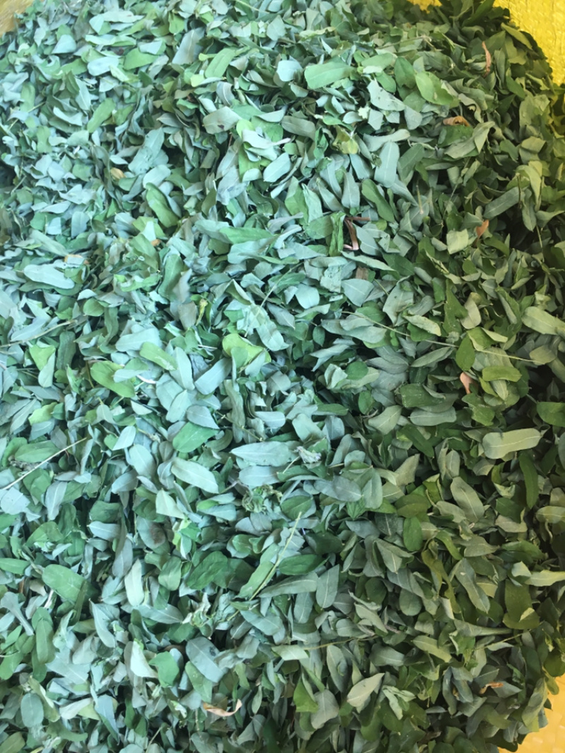 相思叶相思叶鸡骨草甜鸡骨草药材无硫