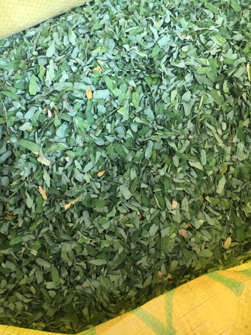 相思叶相思叶鸡骨草甜鸡骨草药材无硫