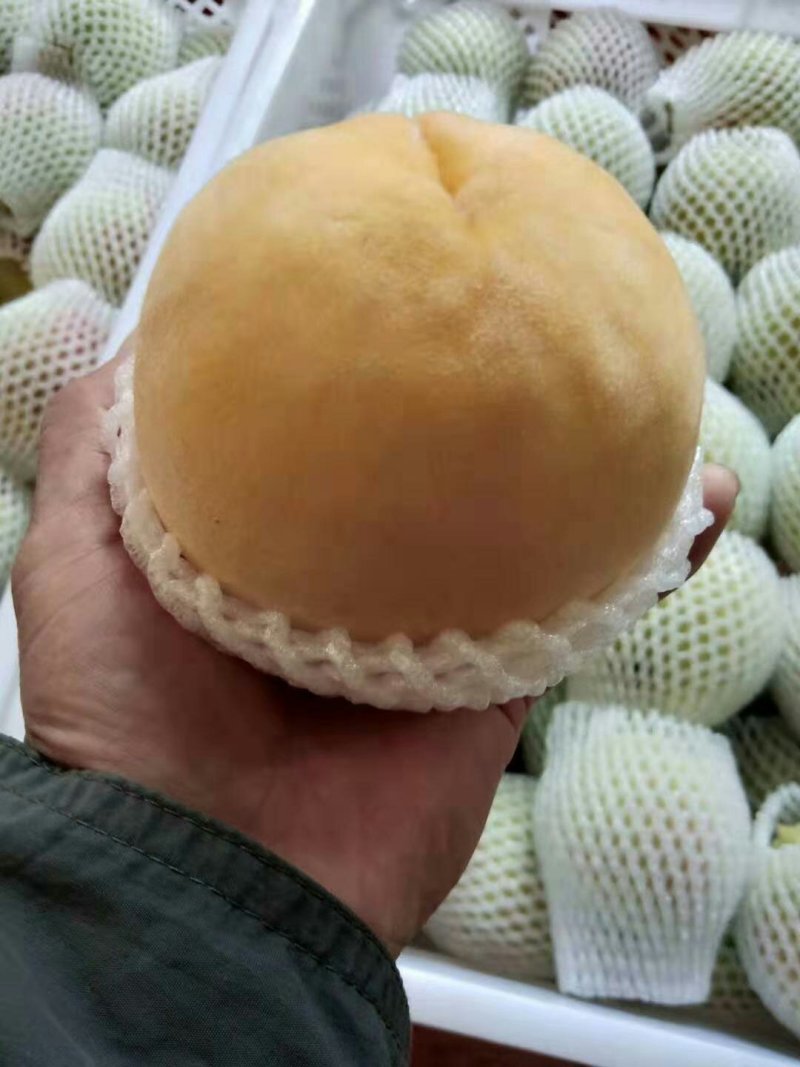 安徽锦绣黄桃基地直供，货源充足，直供全国，诚信经营。