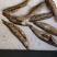 鱼干油炸鱼干无盐鱼干小鱼干江西鱼干餐条鱼