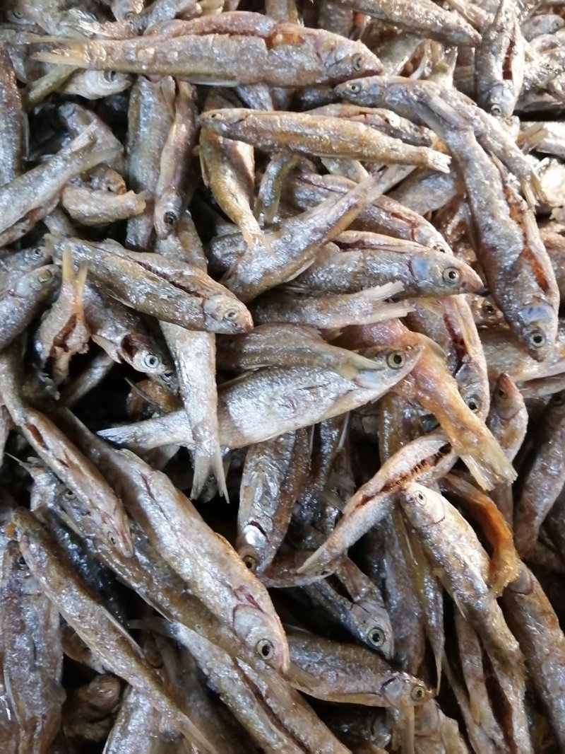鱼干油炸鱼干无盐鱼干小鱼干江西鱼干餐条鱼