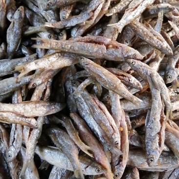 鱼干油炸鱼干无盐鱼干小鱼干江西鱼干餐条鱼