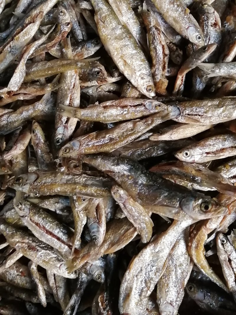 鱼干油炸鱼干无盐鱼干小鱼干江西鱼干餐条鱼