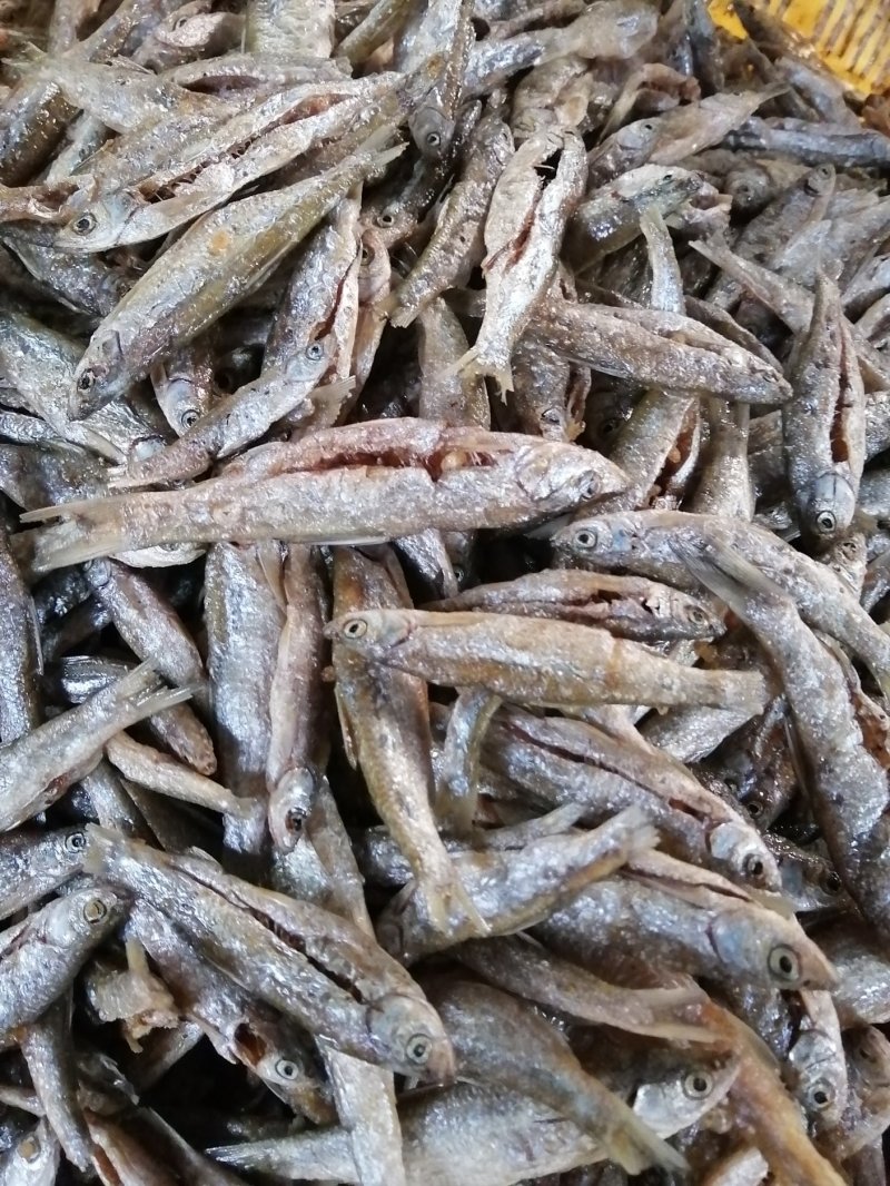 鱼干油炸鱼干无盐鱼干小鱼干江西鱼干餐条鱼