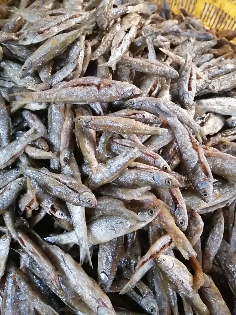 鱼干油炸鱼干无盐鱼干小鱼干江西鱼干餐条鱼