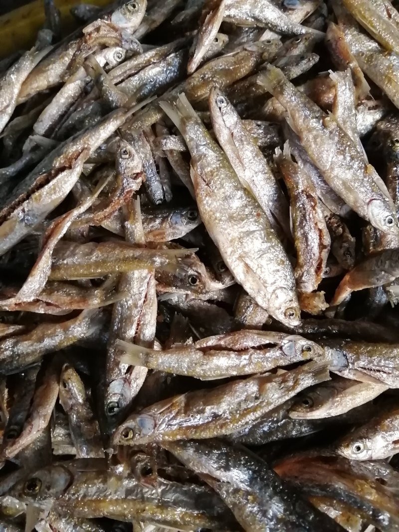 鱼干油炸鱼干无盐鱼干小鱼干江西鱼干餐条鱼