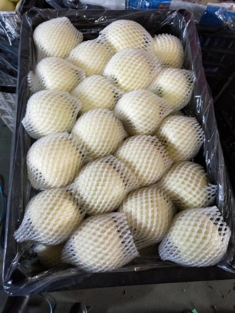 绥中黄元帅，果行好，皮毛价格美丽，一手货源，生超专供