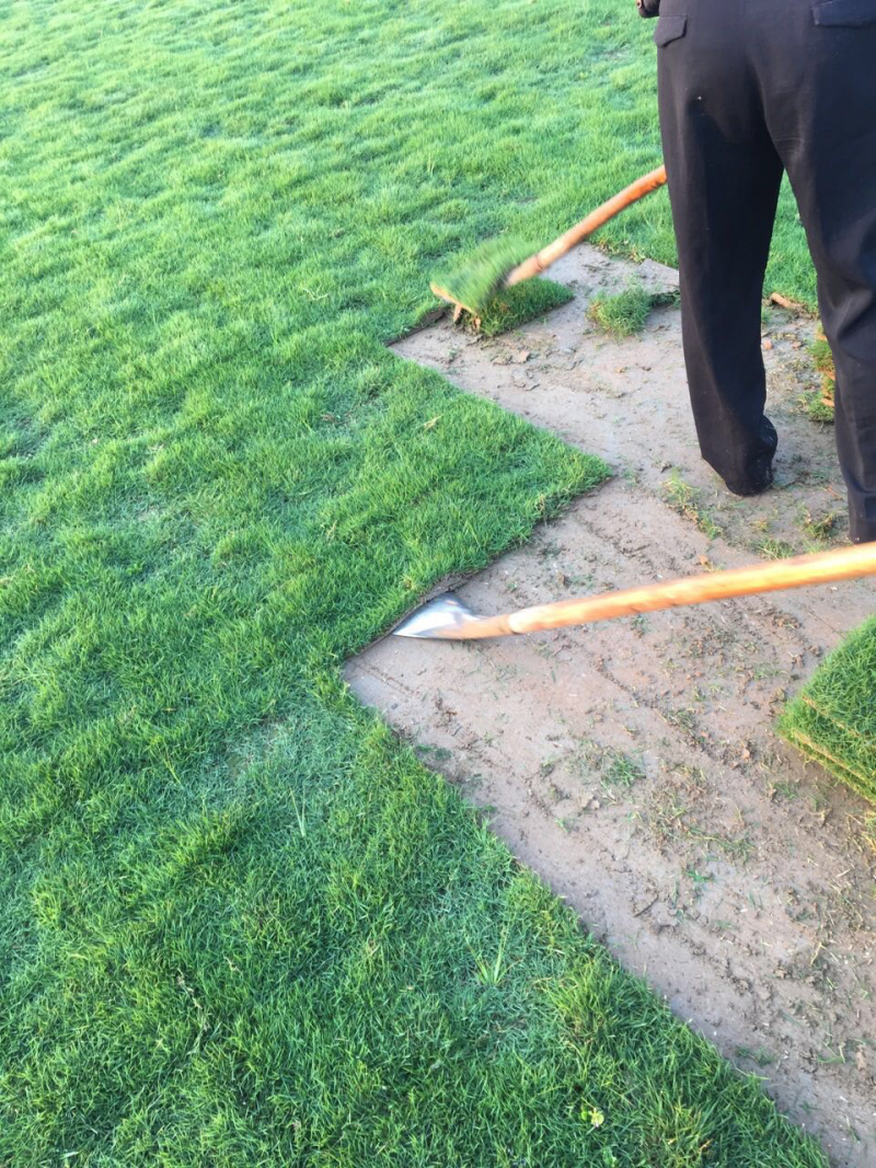 马尼拉