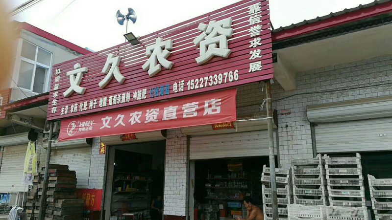巨峰葡萄花串，全红大量上市，大串大颗粒