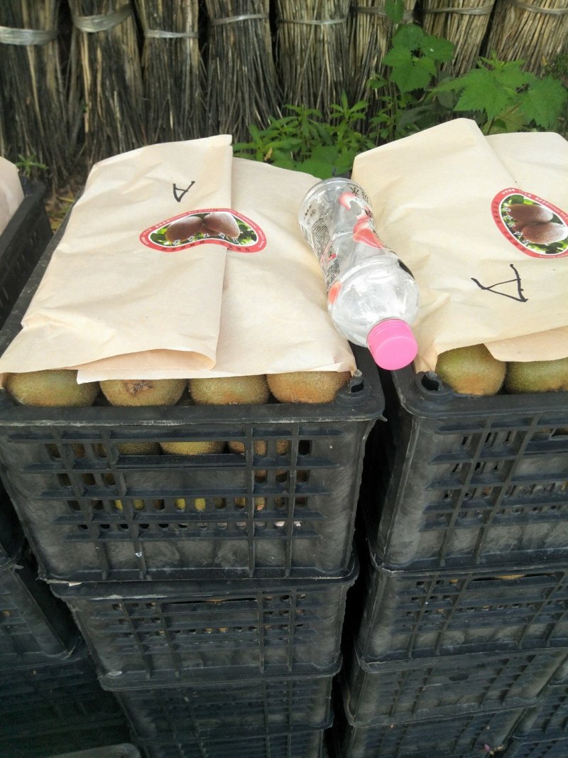 猕猴桃徐香秦美7个糖单个80克起步