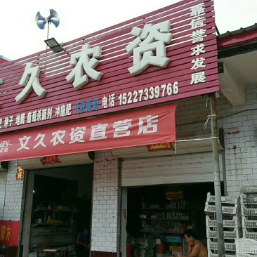 威县七级巨峰葡萄