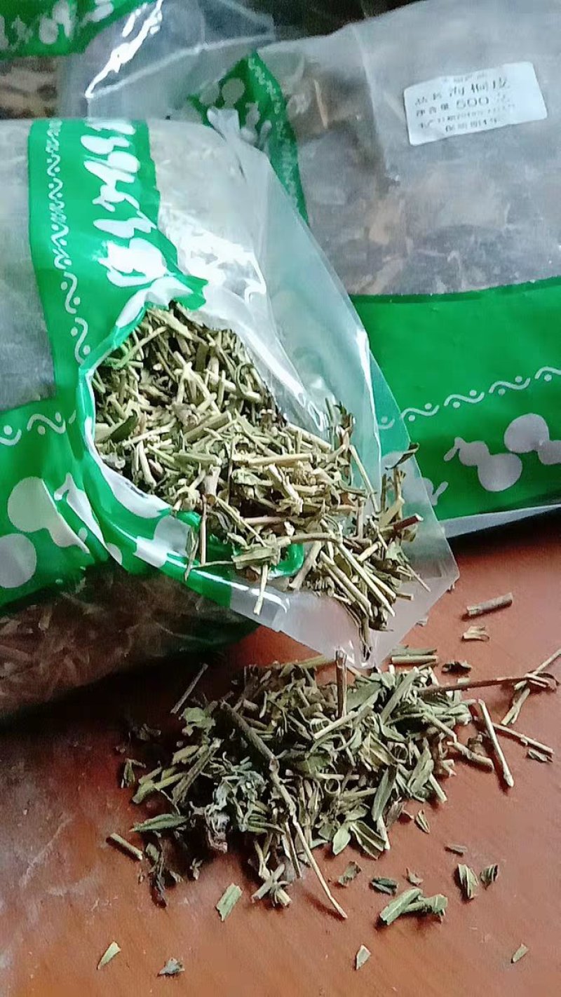 透骨草珍珠透骨草竹格叉吉盖草透骨草