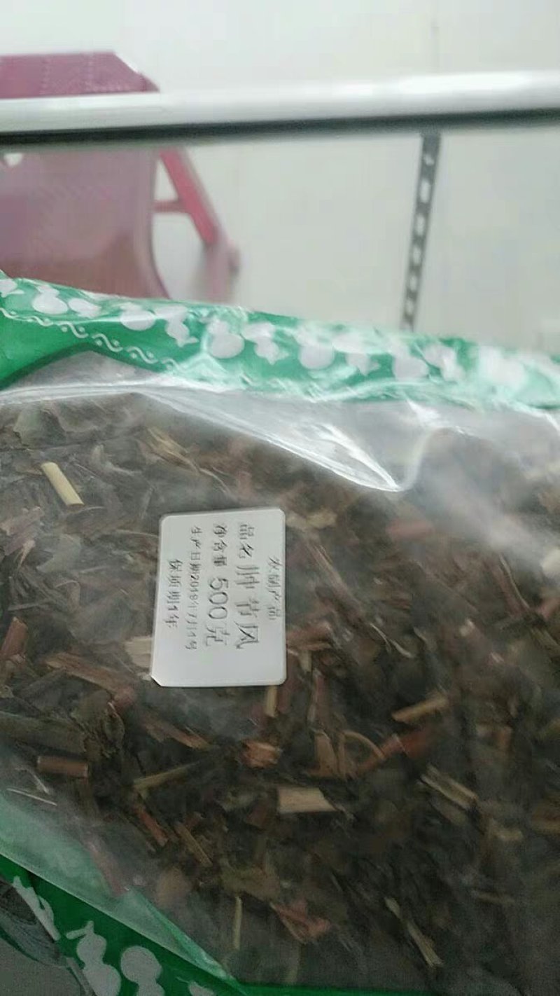 肿节风肿节风九节茶、九节风、接骨莲、草珊瑚