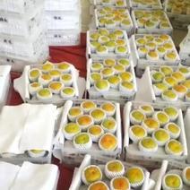 大量出售云南脆甜多汁的柿子上市了正在出售中上市