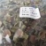 柿蒂柿蒂农家干货农家初选农副产品1234