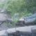 【聚便宜】营养钵，容器苗火棘