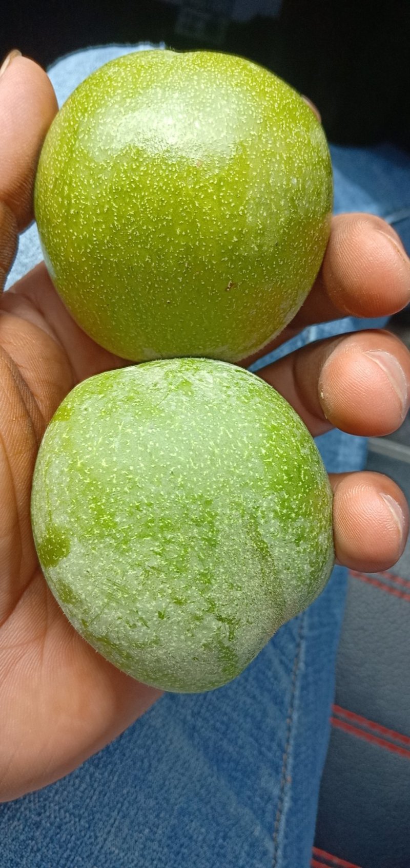新疆阿克苏青皮185薄皮核桃，专业代办，诚信代办