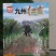 紫皮绿肉高品质绵蔬九州红霞香莴笋种子味浓红尖叶莴苣种籽