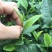 英德红茶