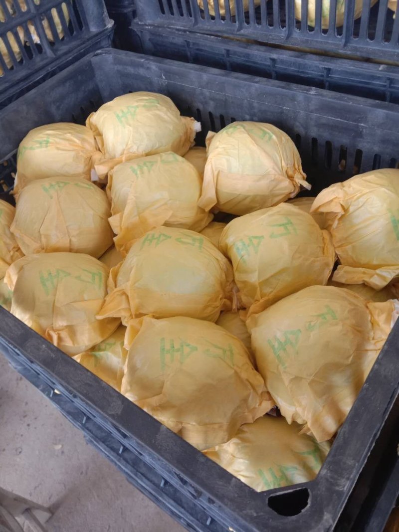 黄冠梨，万亩基地，货源充足，质量保证，包装齐全。
