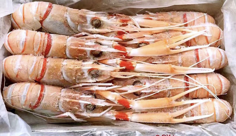 新西兰鹰牌鳌虾4斤/件刺身高级料理