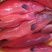 冰鲜花面斑