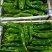 青椒，301青椒，苏椒，线椒，泡椒