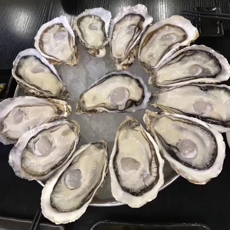 墨西哥博卡娜生蚝12只/件