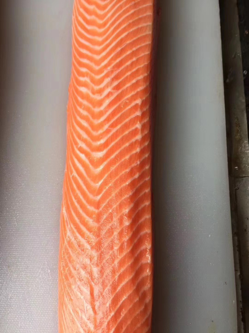 新西兰帝王鲑9-12斤刺身佳品