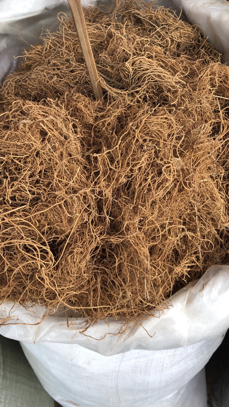中药材新货纯根徐长卿货好无硫黄