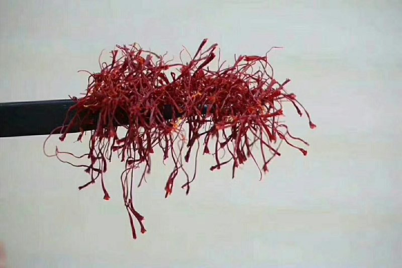 精品特级藏红花进口伊朗新货批发零售