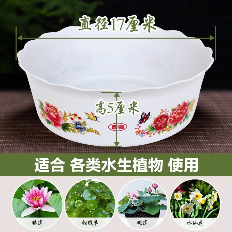 乳白色圆形塑料水培花盆实拍照片可养水仙铜钱草碗莲