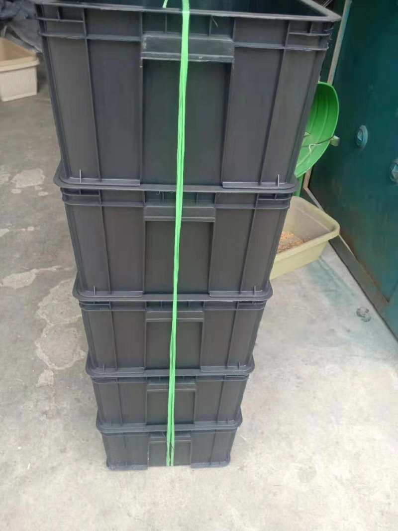 厂家专供花生芽水培箱，长条，圆眼的大量供应
