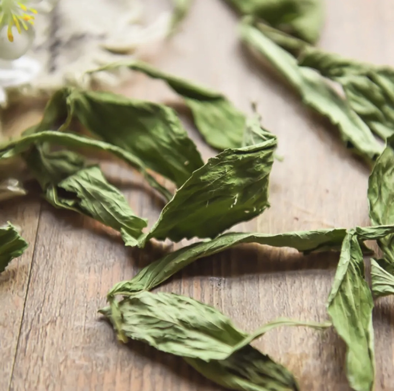【甜叶菊】甜叶菊茶用级别物美价廉产地直供