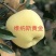 苹果苗鲁丽,维纳斯黄金,华硕保品种,签购苗合同