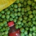 新鲜莲子