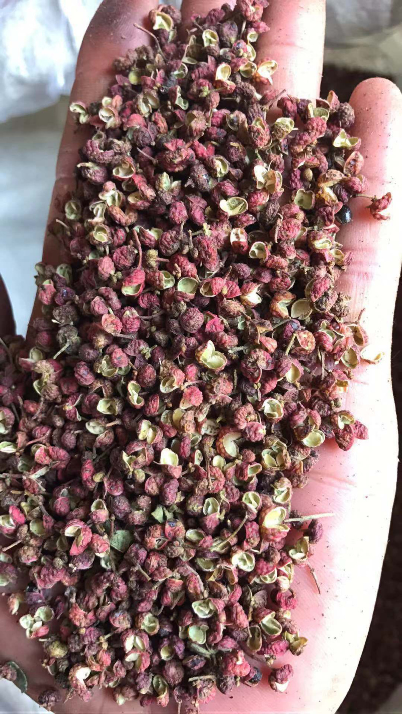 大红袍花椒