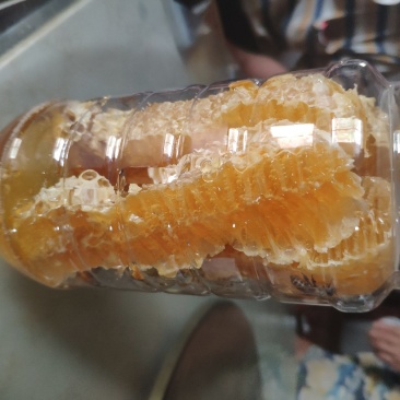 土蜂蜜