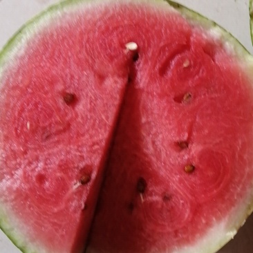 西瓜