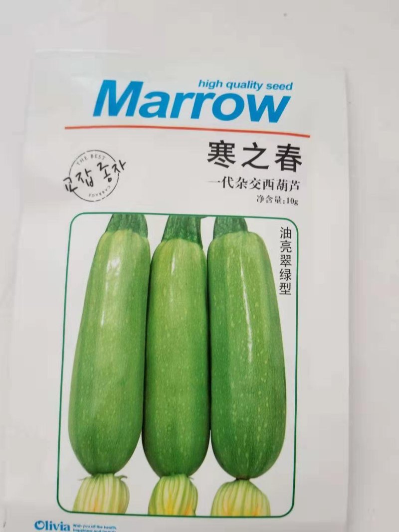 西葫芦种子寒之春西葫芦种子油绿春秋播种品种