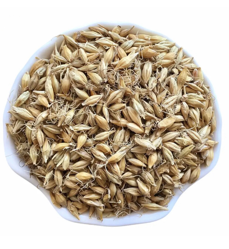 【舜波中药材】生麦芽统量大从优