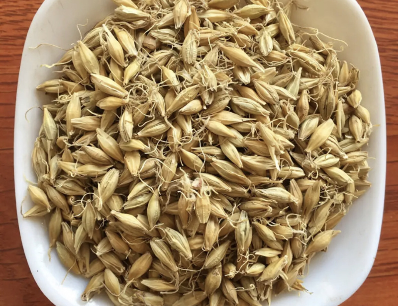 【舜波中药材】生麦芽统量大从优