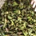 南漪湖野生菱角米手工剥皮（量大优惠1吨起批）