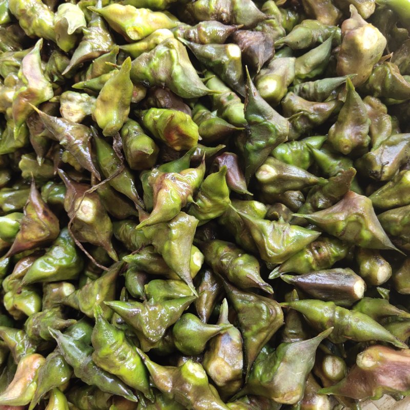 南漪湖野生菱角米手工剥皮（量大优惠1吨起批）