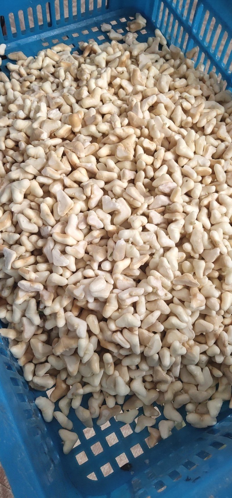南漪湖野生菱角米手工剥皮（量大优惠1吨起批）