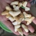 南漪湖野生菱角米手工剥皮（量大优惠1吨起批）