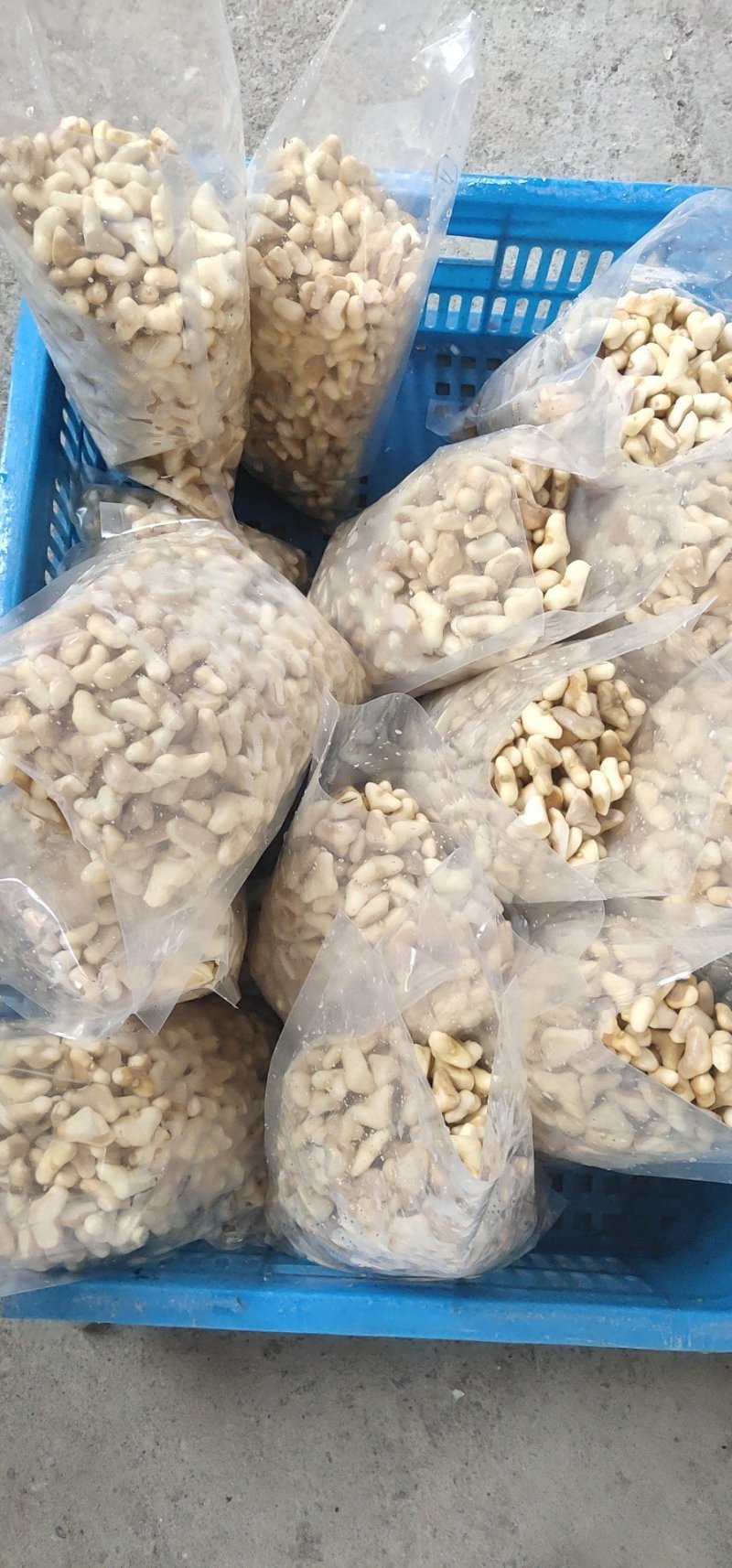 南漪湖野生菱角米手工剥皮（量大优惠1吨起批）
