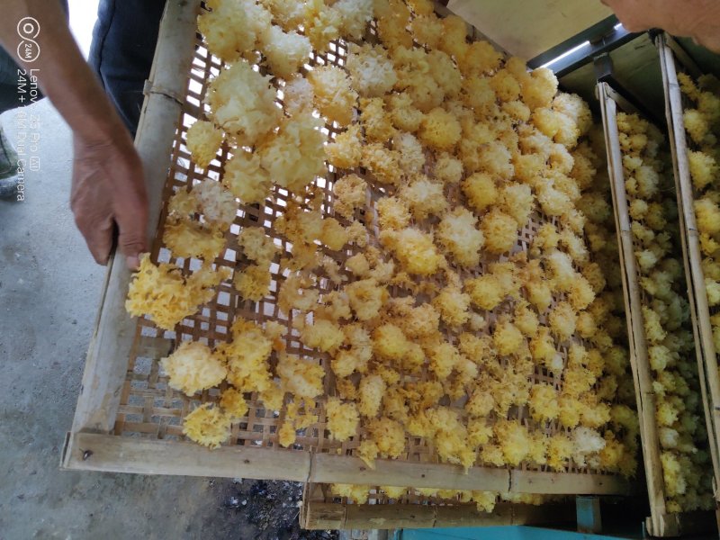高档礼品盒精选椴木银耳