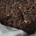 【精品】梅干菜梅菜扣肉江苏梅菜大量供应品质保障